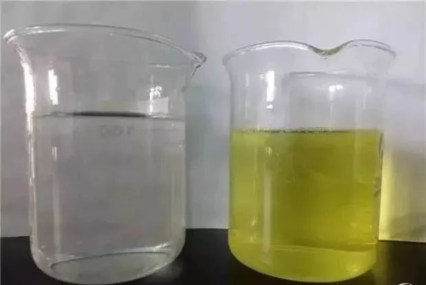 如何辨別龍魚專用藥水的真偽（辨別龍魚專用藥水的幾個關鍵步驟）