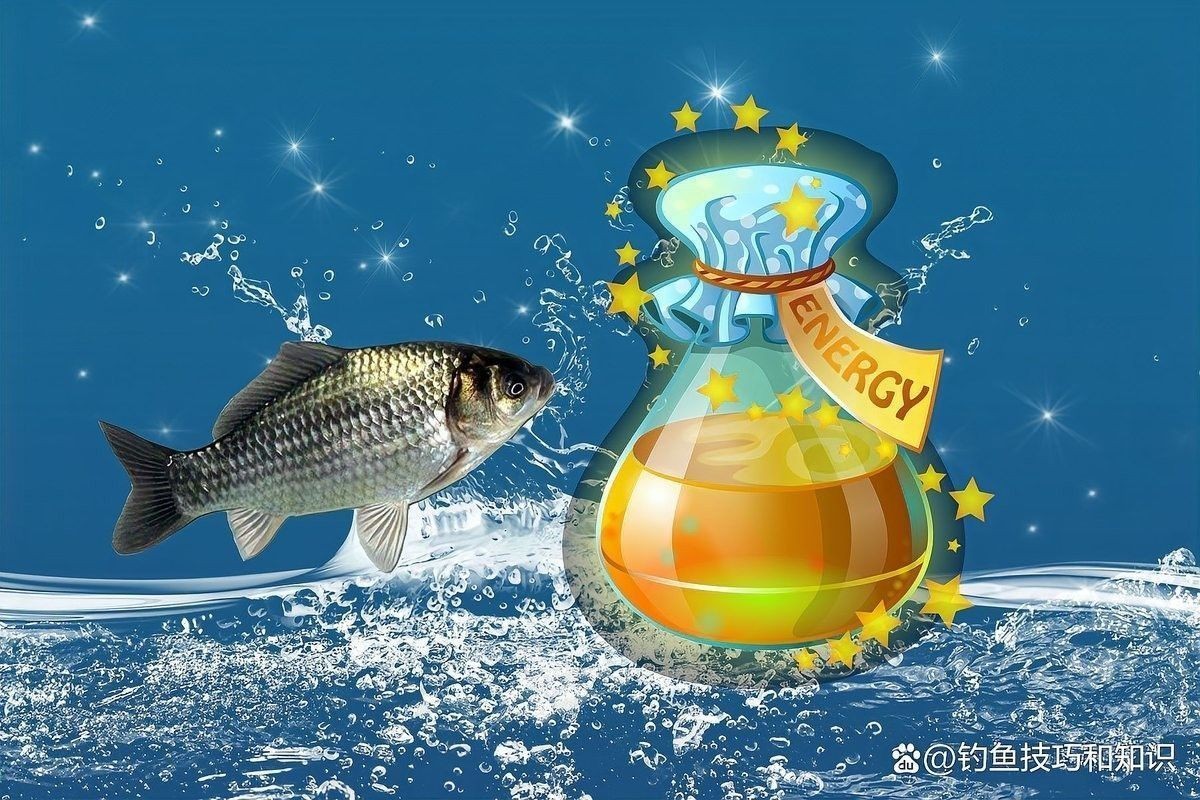 如何辨別龍魚專用藥水的真偽（辨別龍魚專用藥水的幾個關鍵步驟）