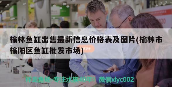 <strong><mark>榆林</mark></strong>魚缸出售最新信息價格表及圖片(<strong><mark>榆林</mark></strong>市榆陽區魚缸批發市場)（<strong><mark>榆林</mark></strong>魚缸出售最新信息價格表）