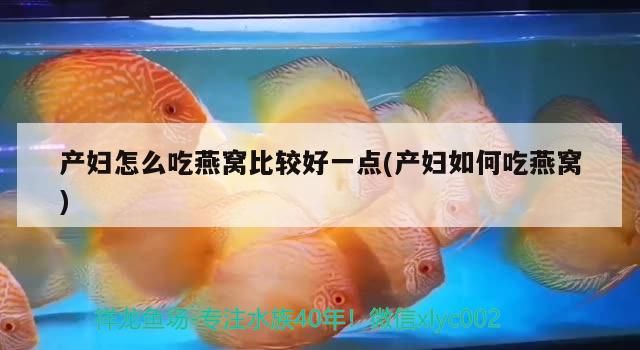 產(chǎn)婦怎么吃燕窩比較好一點(diǎn)(產(chǎn)婦如何吃燕窩)（產(chǎn)婦如何吃燕窩比較好）