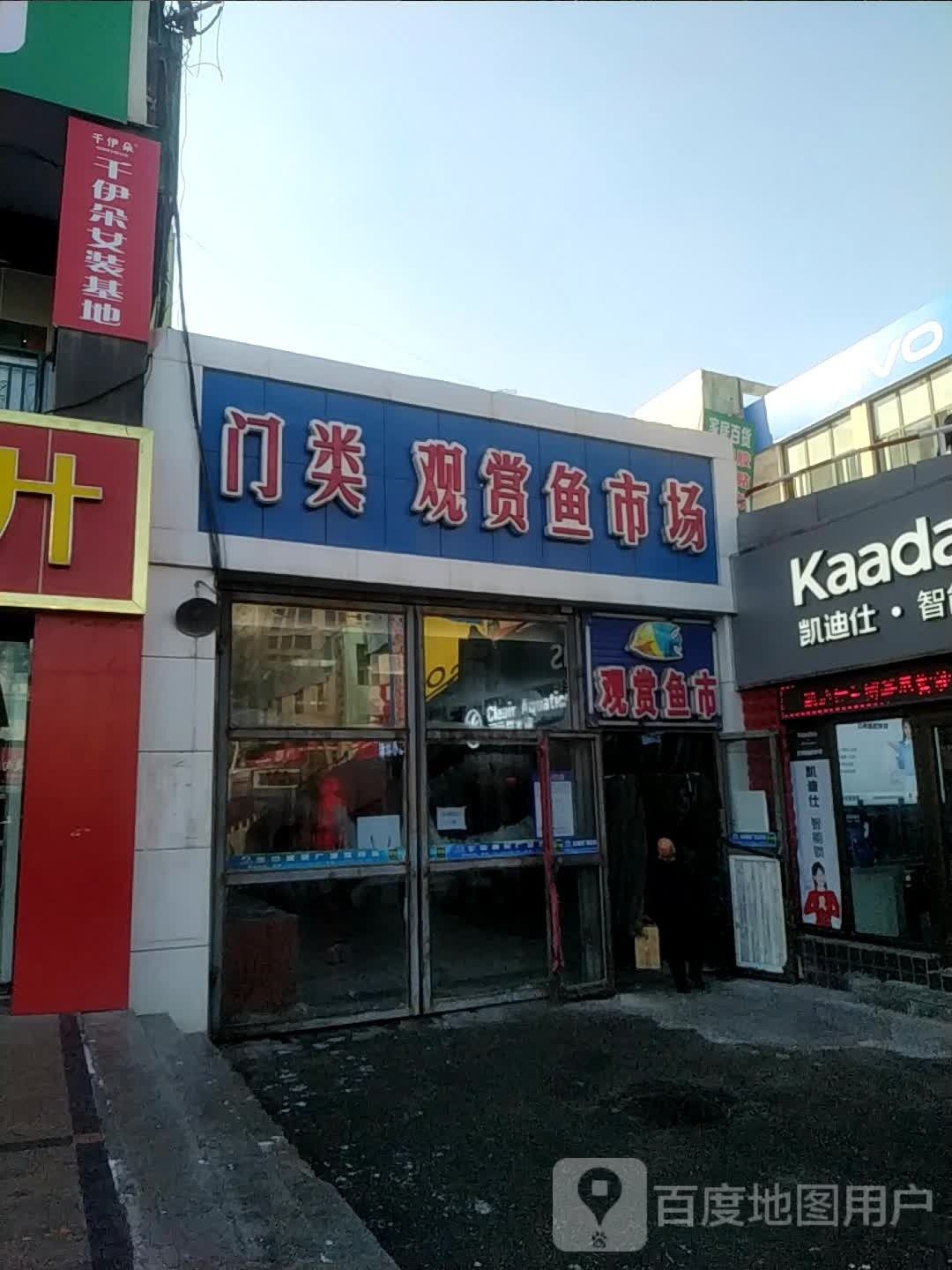 如何聯(lián)系昌吉市萬(wàn)家金龍觀賞魚(yú)店（吉市萬(wàn)家金龍觀賞魚(yú)店如何聯(lián)系昌吉市萬(wàn)家金龍觀賞魚(yú)店）