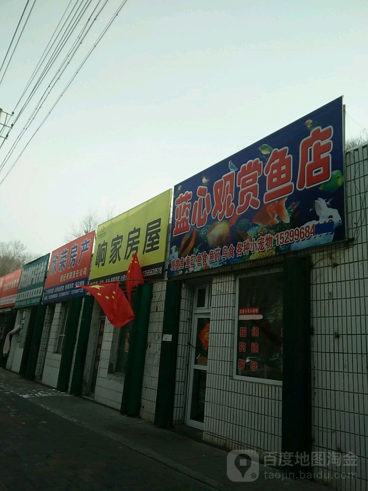 如何聯(lián)系昌吉市萬(wàn)家金龍觀賞魚(yú)店（吉市萬(wàn)家金龍觀賞魚(yú)店如何聯(lián)系昌吉市萬(wàn)家金龍觀賞魚(yú)店）