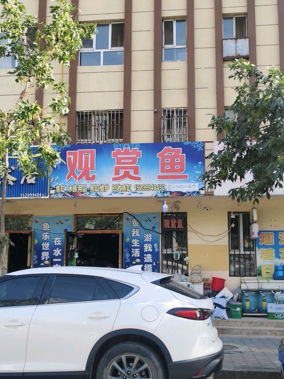 如何聯(lián)系昌吉市萬(wàn)家金龍觀賞魚(yú)店（吉市萬(wàn)家金龍觀賞魚(yú)店如何聯(lián)系昌吉市萬(wàn)家金龍觀賞魚(yú)店）