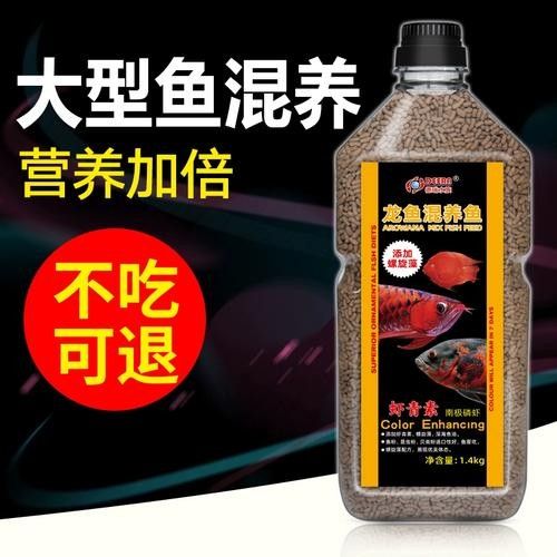 給我一些龍魚和發財魚混養的圖片（龍魚與發財魚混養的圖片資源及混養要點）