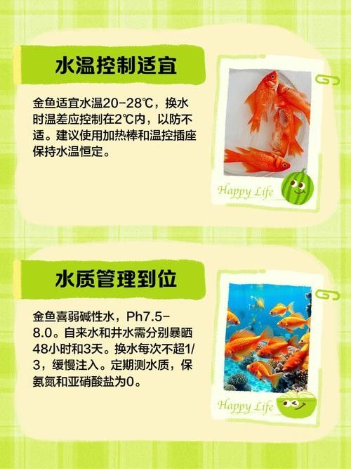 金龍魚珠鱗全亮后如何保持（金龍魚珠鱗全亮后怎么辦）