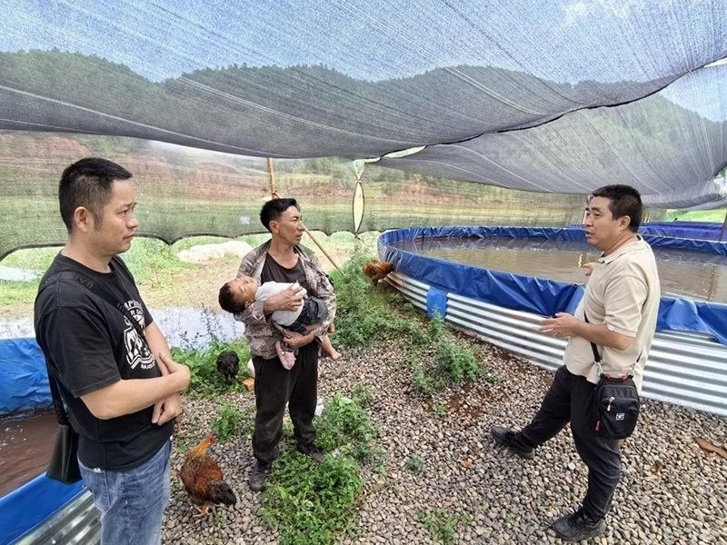 昭覺龍魚（“昭覺龍魚”可能并非一個特定的品牌或項目并非一個特定的品牌）