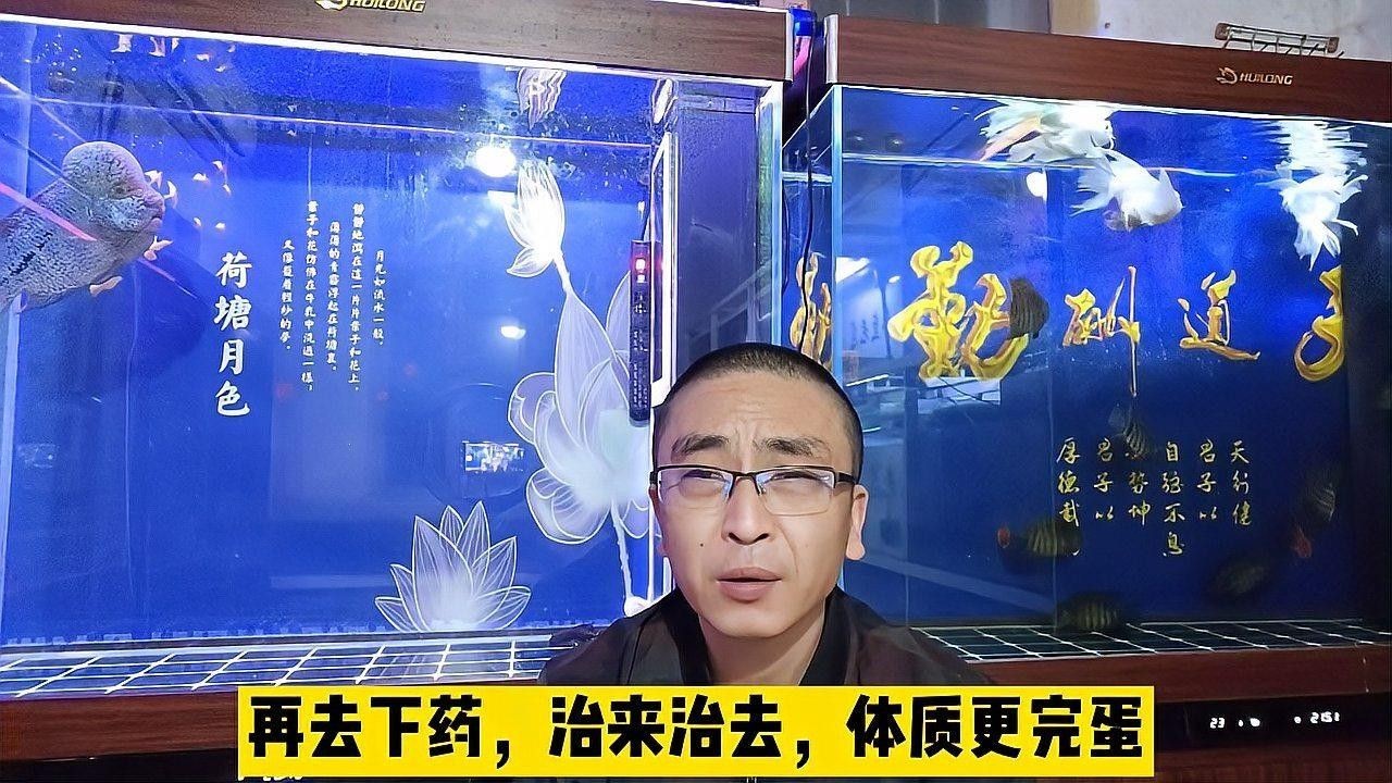 觀賞魚如何防治疾病（百度文庫觀賞魚常見十大疾病及防治方法3分鐘治療白點(diǎn)病）