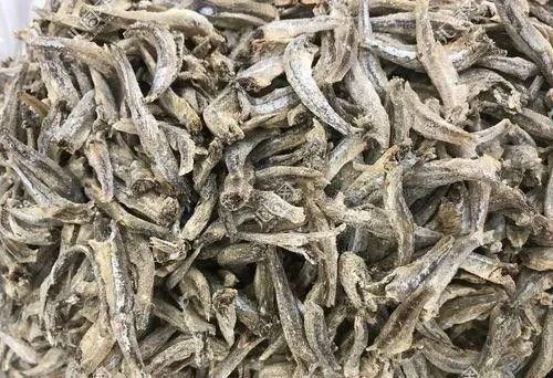 虎紋恐龍魚吃哪些飼料比較好（為虎紋恐龍魚選擇飼料時(shí)需要考慮到其特殊的營養(yǎng)需求和口味偏好）