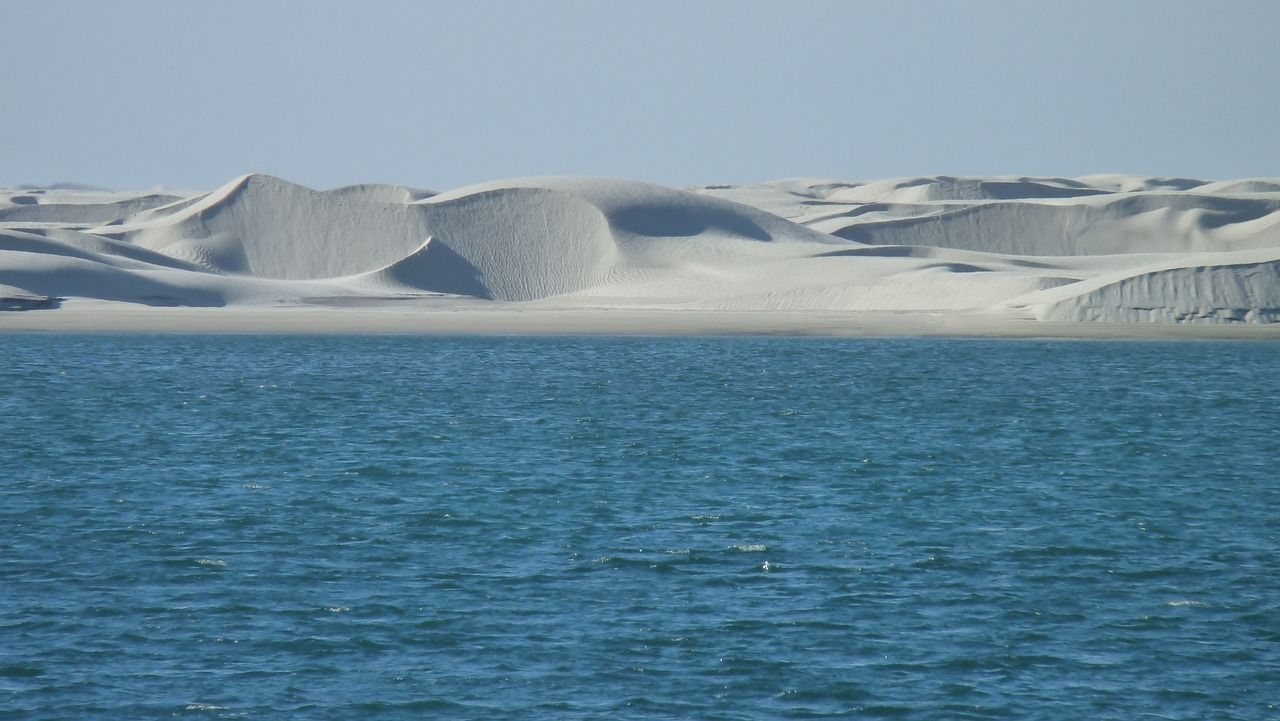海南海水觀賞魚養殖場地（海南海水觀賞魚養殖場地址）（海南海水觀賞魚養殖場地）