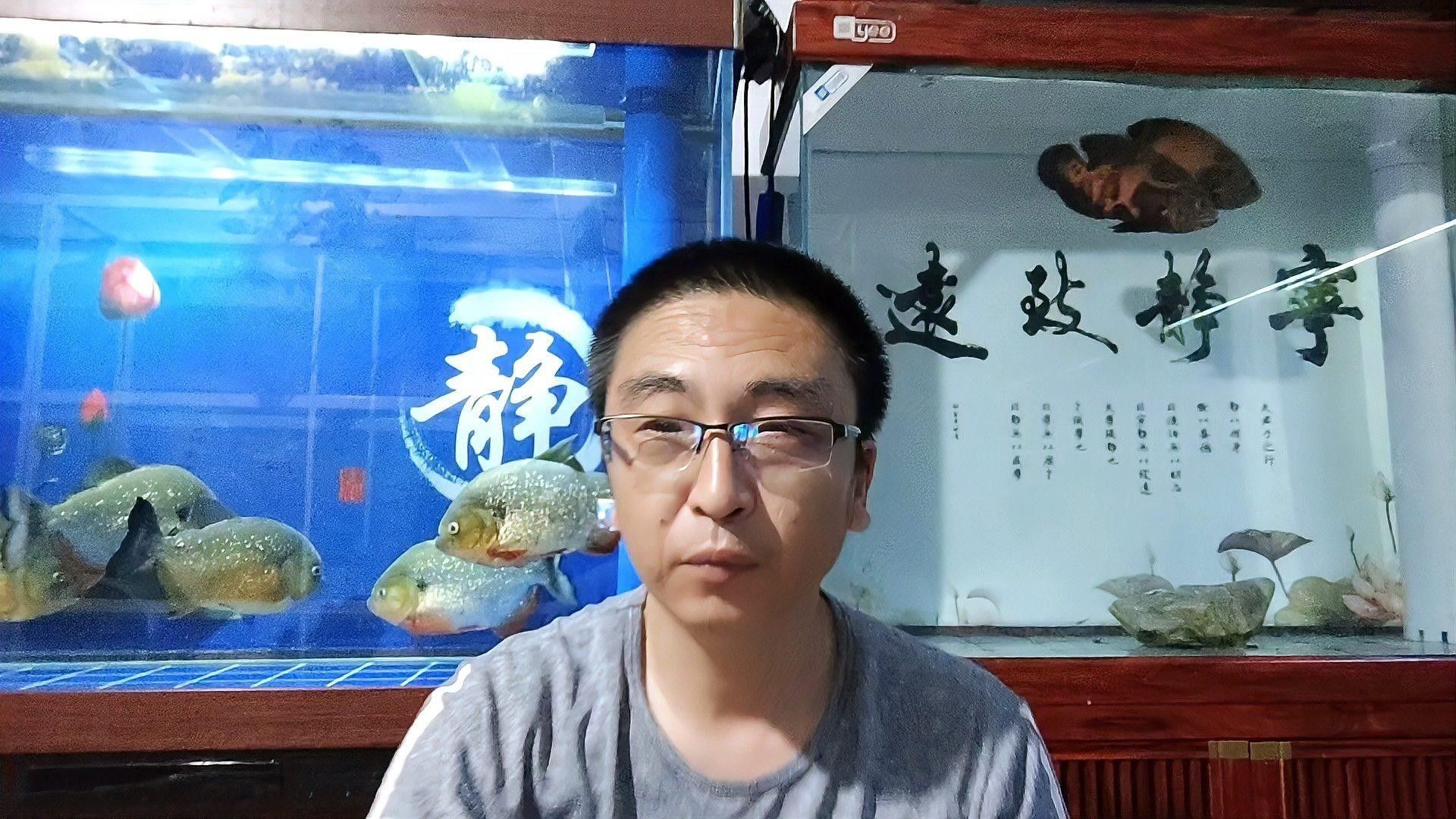 混養時如何確保水質穩定？（養魚技巧：養魚新手必備指南）