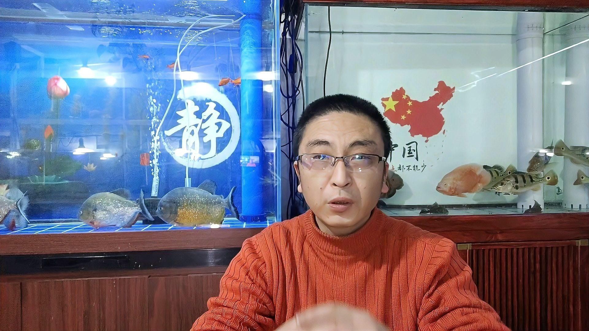 混養時如何確保水質穩定？（養魚技巧：養魚新手必備指南）