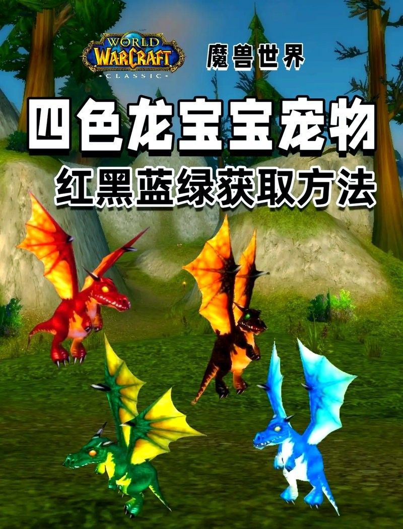 紅龍和黑龍哪個更稀有？（紅龍和黑龍哪個更稀有）