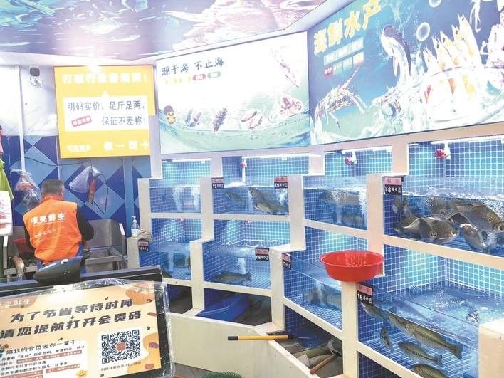 武漢龍魚多少錢一斤（武漢龍魚一斤多少錢一斤騰云新分享龍魚多少錢一斤）