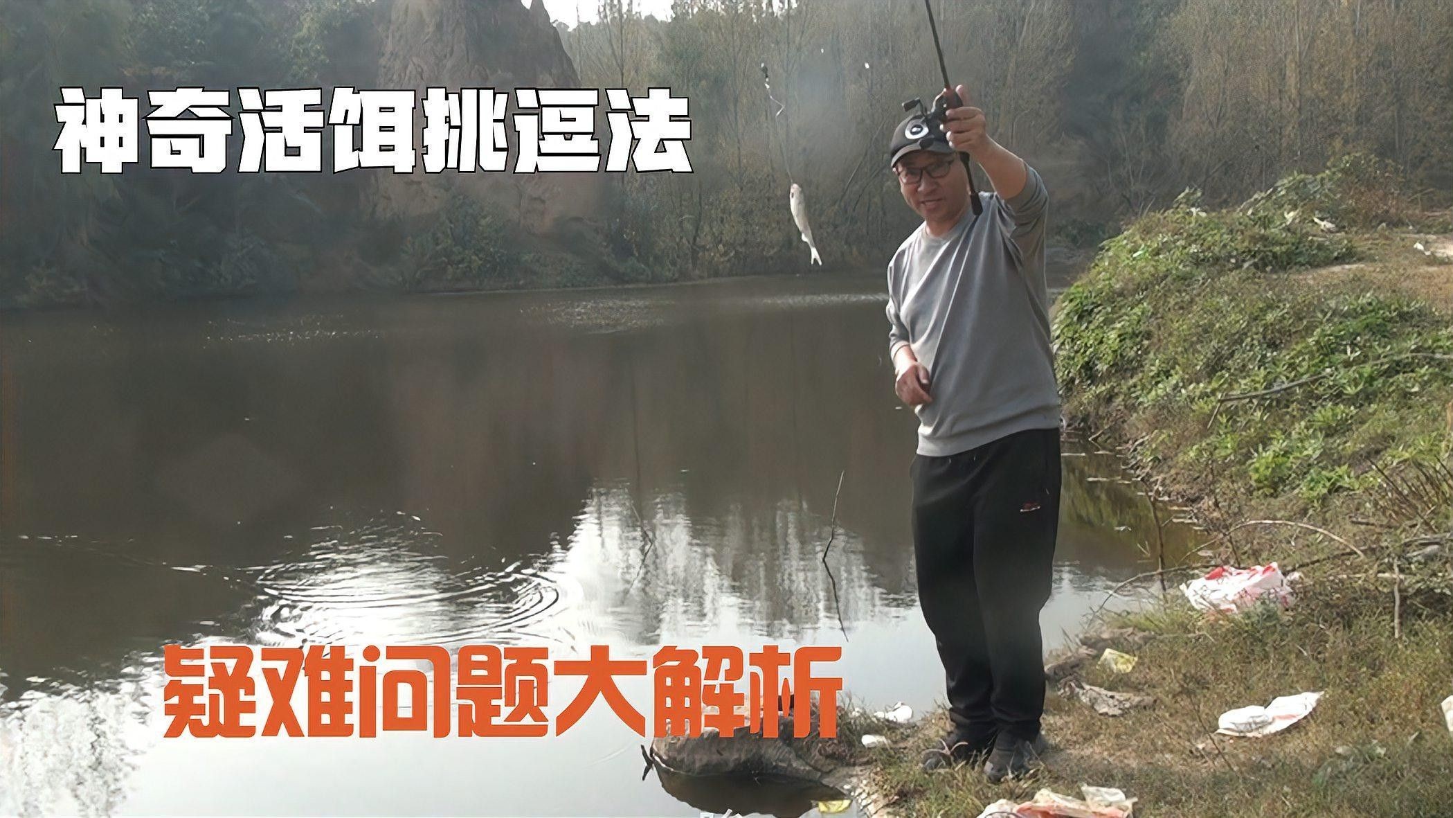 如何判斷活餌是否干凈？（如何判斷活餌是否干凈）