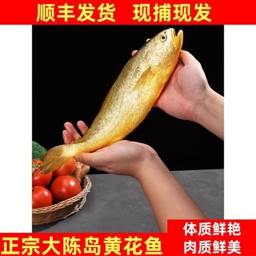 臺州特產(chǎn)黃魚（臺州人的驕傲是大黃魚）