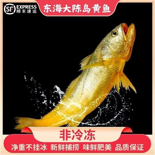 臺州特產(chǎn)黃魚（臺州人的驕傲是大黃魚）