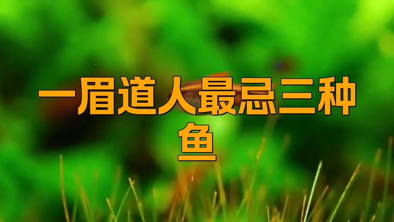 一眉道人魚不能隨便養（一眉道人魚不能隨便養，）