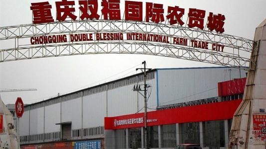 雙福國際農貿城地址（雙福國際農貿城有哪些特色產品雙福國際農貿城有哪些）