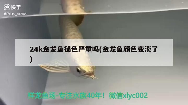 蚌埠二手魚缸市場在哪里啊多少錢（蚌埠二手舊貨市場在哪里）（蚌埠二手魚缸市場在哪里，）