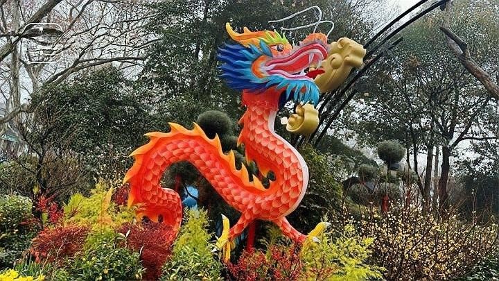 龍魚躍龍門有哪些著名場景（“魚躍龍門”的自然生態奇觀）