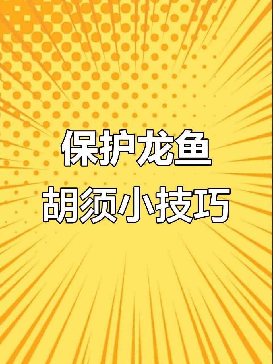 龍魚胡須的毒性有多強（關于龍魚胡須的毒性問題）