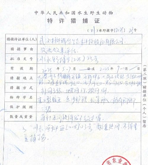 漢源哪個(gè)水族館龍魚好？祥龍魚場(chǎng)龍魚（廣州龍魚祥龍魚場(chǎng)）