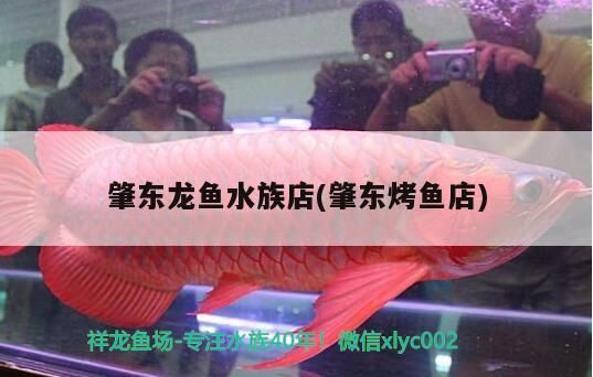 如何判斷辣椒紅龍魚是否健康，辣椒紅龍魚是否健康