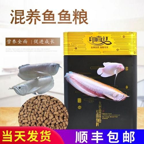印尚紅精品龍魚飼料（印尚紅精品龍魚飼料有哪些特點？）