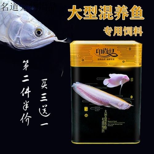 如何判斷辣椒紅龍魚是否健康，辣椒紅龍魚是否健康