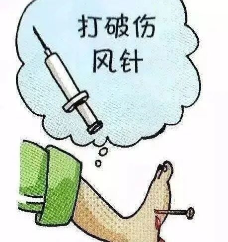 TAT和TIG哪個更貴？（tat和tig哪個更貴）