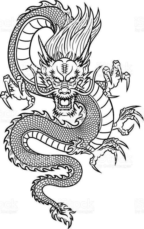 給我一張龍魚的素描圖片（手繪線描龍魚東揚繪畫:手繪線描龍魚東揚繪畫）