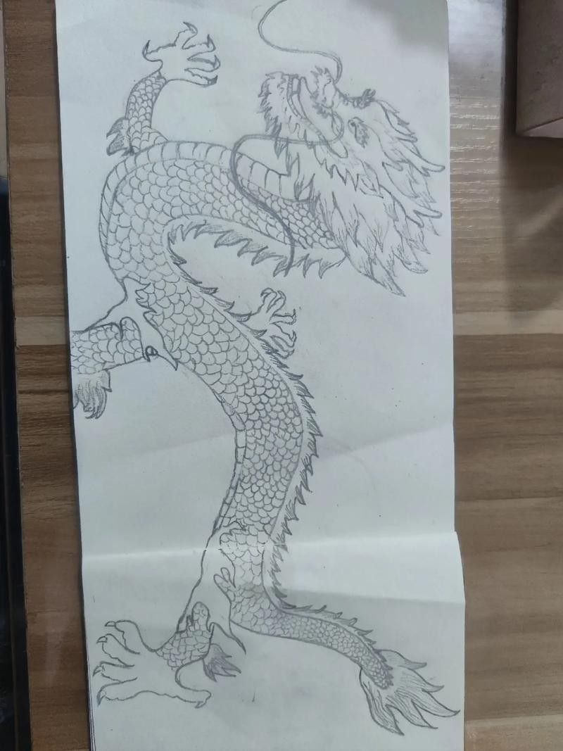 給我一張龍魚的素描圖片（手繪線描龍魚東揚繪畫:手繪線描龍魚東揚繪畫）