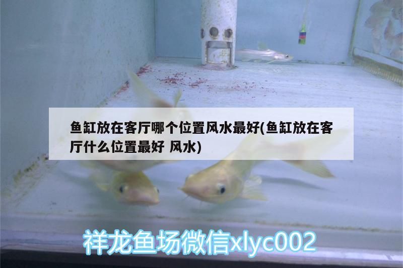 魚缸放在客廳哪個位置風水最好(魚缸放在客廳什么位置最好風水)（魚缸一般放在客廳什么位置）