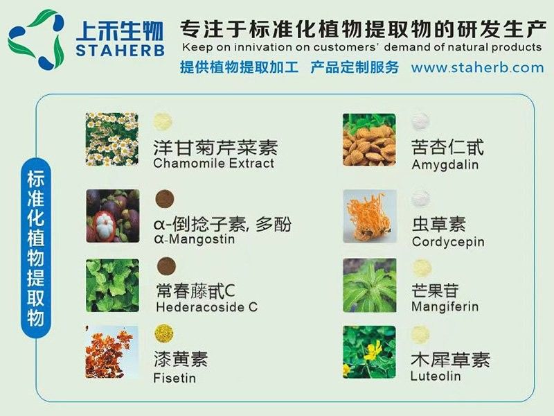 有哪些麻藥適用于金龍魚（金龍魚的麻藥有哪些）