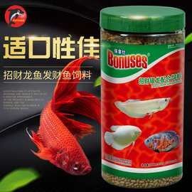 白子金龍魚的價格是多少？（子金龍魚的價格因地區、品種和市場供需狀況而異，白子金龍魚的價格因地區、品種和市場供需狀況而異）