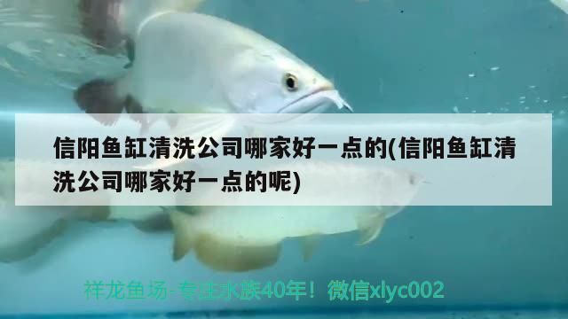 信陽魚缸清洗公司哪家好一點的(信陽魚缸清洗公司哪家好一點的呢)（信陽魚缸清洗公司哪家好）
