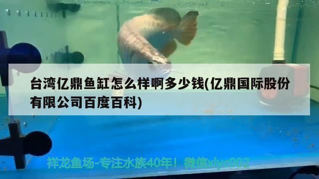 黔西水族館：黔西南布依族苗族自治州高端水族店，打造水族愛好者的夢幻天堂（黔西南布依族苗族自治州高端水族自治州高端水族店）