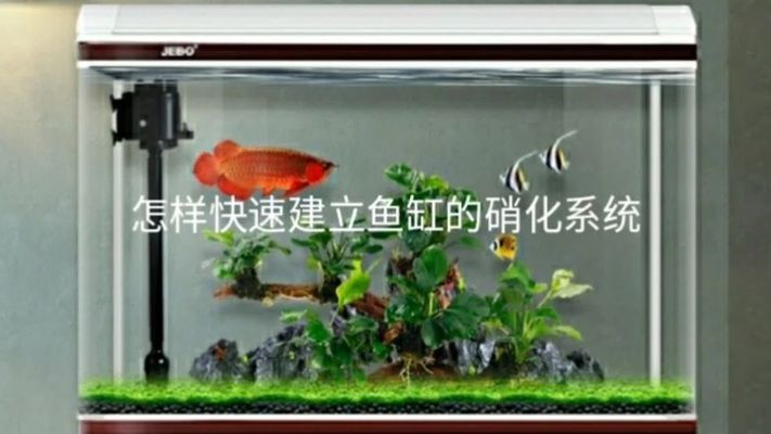 西雙版納傣族自治州魚池過濾濾材（雙版納傣族自治州魚池過濾濾材對(duì)比西雙版納傣族自治州）