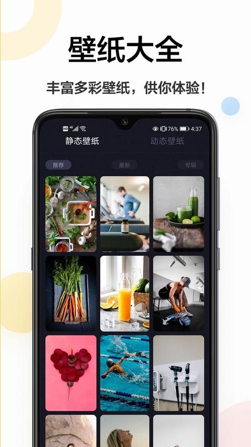 有哪些垂直類壁紙平臺？（it之家十大壁紙網站推薦windows平臺）