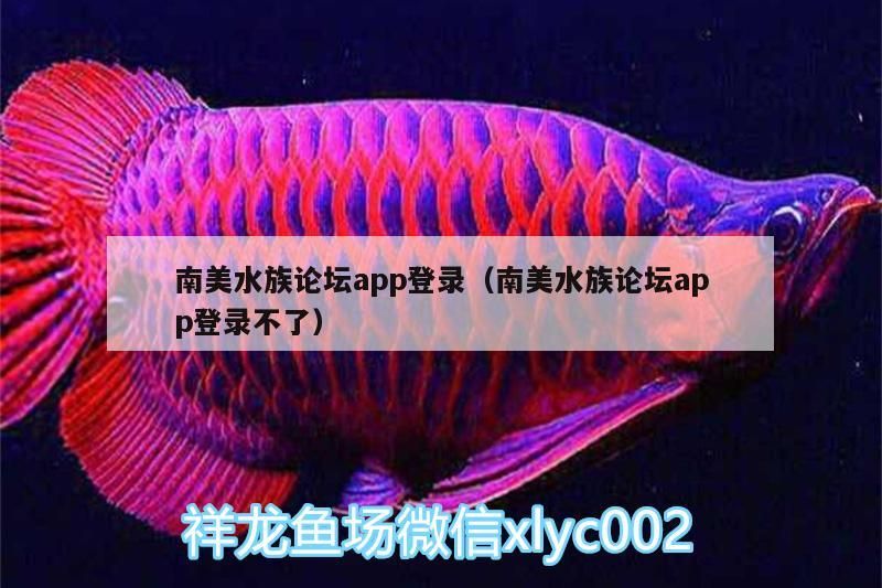 南美水族論壇app登錄（南美水族論壇app登錄不了）（關于南美水族論壇app登錄）