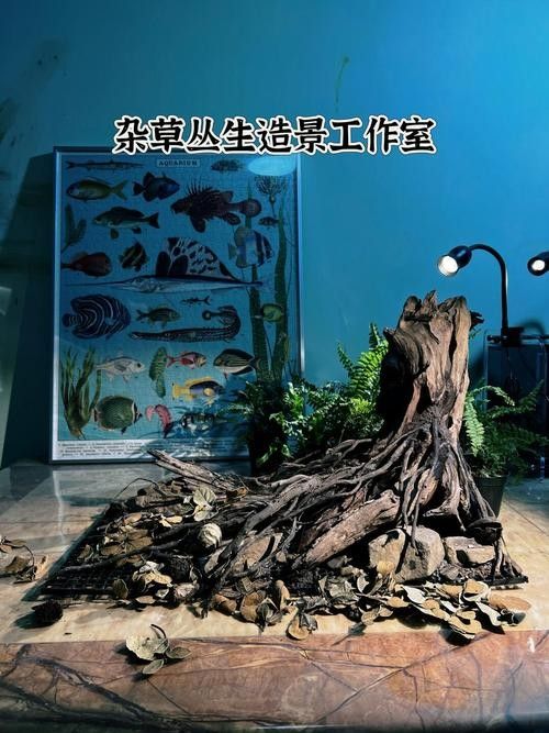 雷龍魚缸需要哪些設備（雷龍魚缸基本設備及組件）