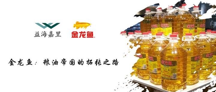 鄯善金龍魚（鄯善金龍魚品牌是哪個國家的） 鄯善金龍魚（鄯善金龍魚品牌是哪個國家的） 觀賞魚百科 第16張