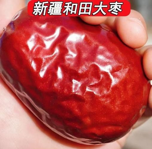 和田于田縣十大特產（和田于田縣十大特產圖匠-和田縣十大特產）