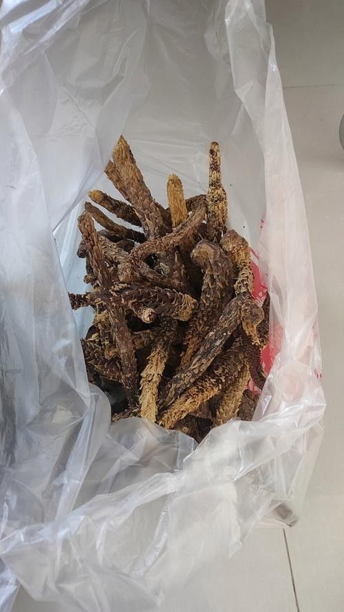 和田于田縣十大特產（和田于田縣十大特產圖匠-和田縣十大特產）