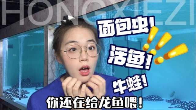 龍魚不能吃啥（龍魚不宜食用的食物有哪些龍魚不宜食用的食物）