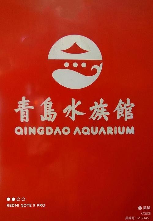 青島龍魚(yú)專(zhuān)賣(mài)店哪家服務(wù)最好（青島龍魚(yú)專(zhuān)賣(mài)店）