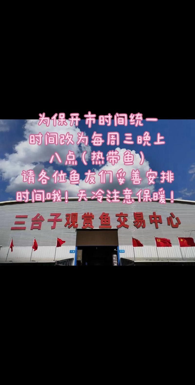 如何聯系水族館或觀賞魚交易平臺？（北京集鼎龍水族商貿有限公司網上買觀賞魚哪個平臺好）