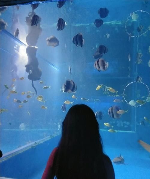 柳北哪個水族館龍魚好？祥龍魚場龍魚（廣州龍魚祥龍魚場龍魚價格表廣州龍魚祥龍魚場龍魚價格表）