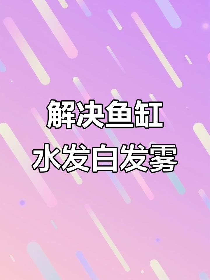 因為水質(zhì)龍魚發(fā)白怎么辦