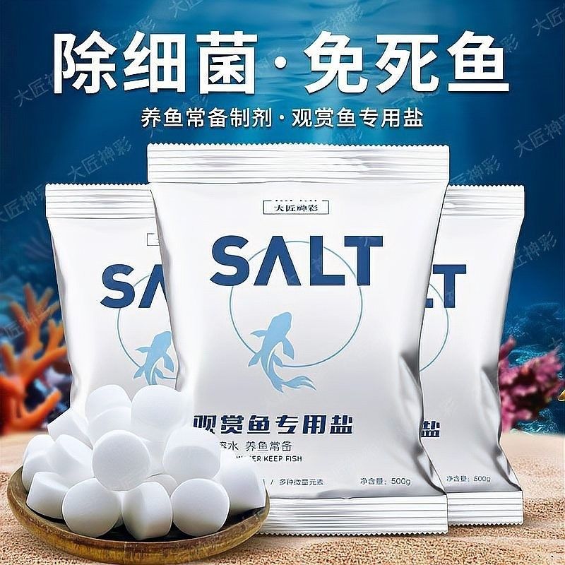 如何預防龍睛魚患病？（如何預防龍睛魚患病）
